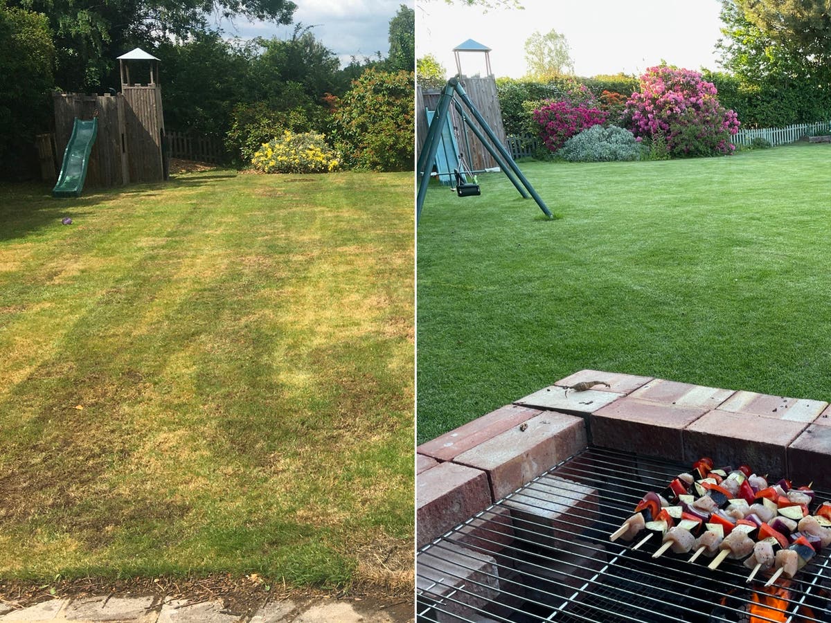 Cómo rescaté mi césped, pero arruiné mi vida | Independent Español